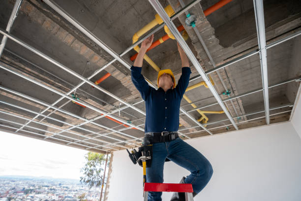 Best Toilet Repair Services  in Buena Vista, VA
